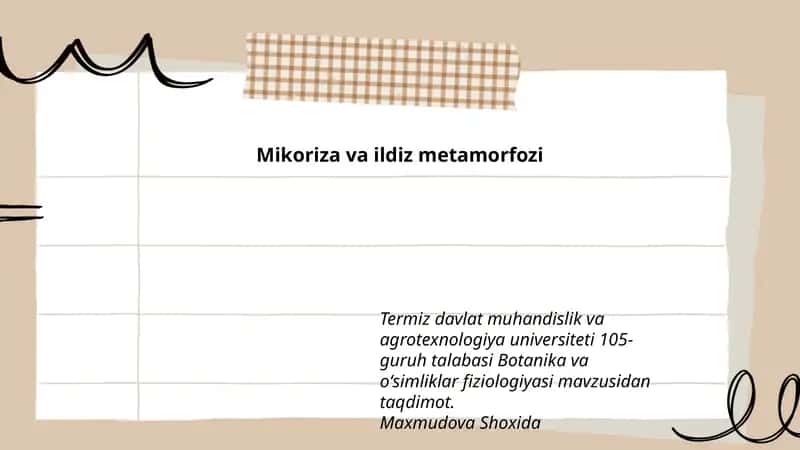 Mikoriza va ildiz metamorfozi