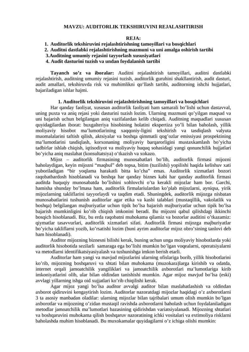 AUDITORLIK TEKSHIRUVINI REJALASHTIRISH