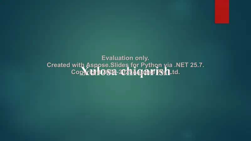 Xulosa chiqarish