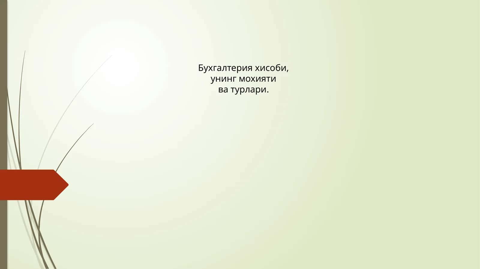 Бухгалтерия хисоби, унинг мохияти ва турлари
