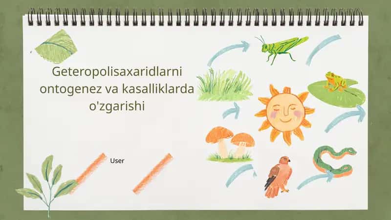 Geteropolisaxaridlarni ontogenez va kasalliklardagi oʻrni