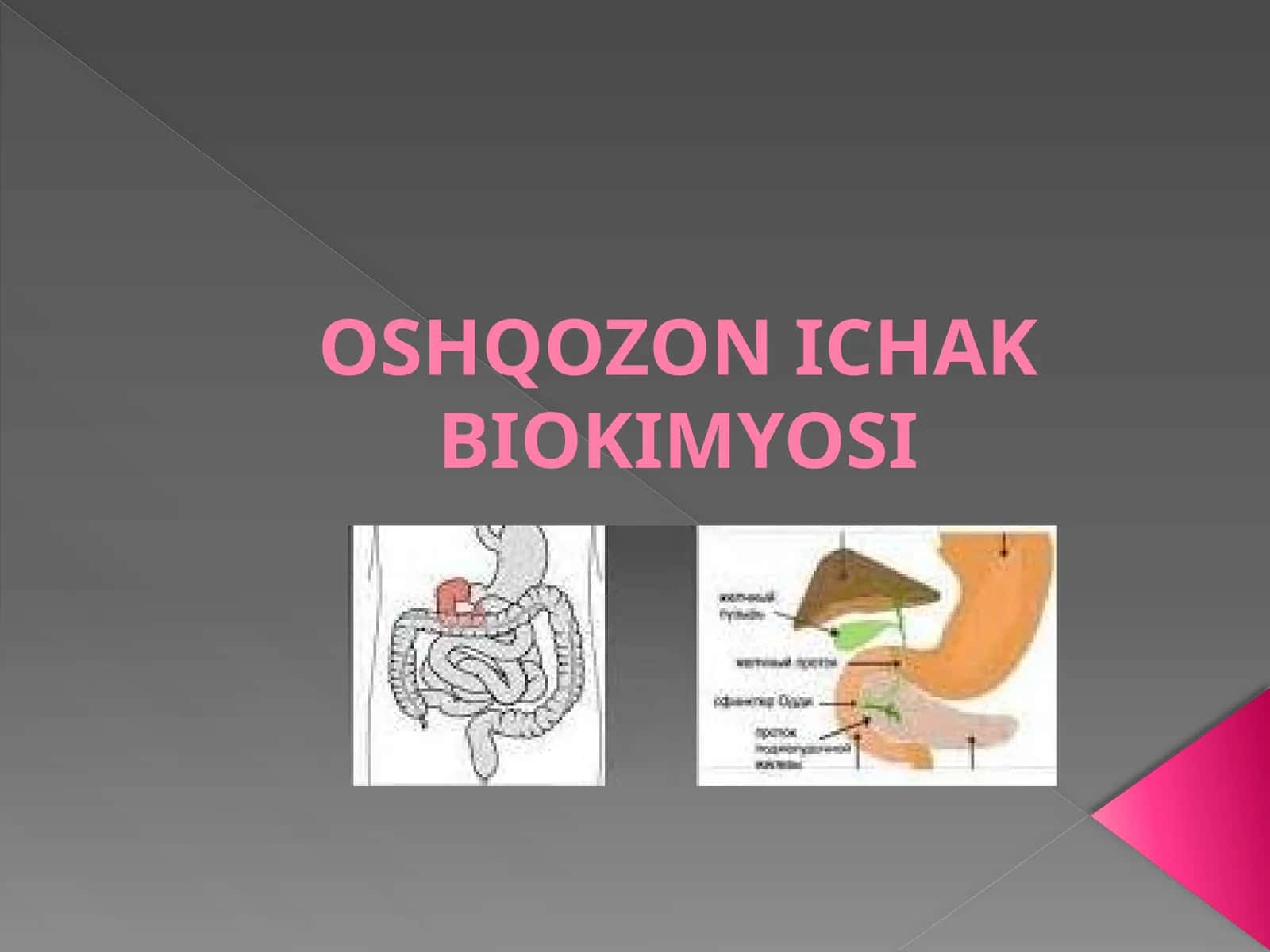 OSHQOZON ICHAK BIOKIMYOSI