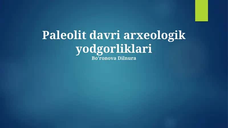 Paleolit davri arxeologik yodgorliklari