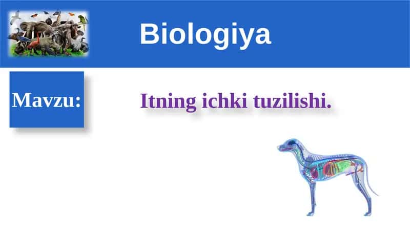 Biologiya DARS REJASI