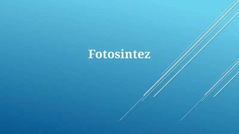 Fotosintez