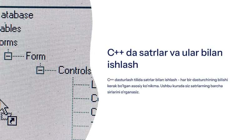 C++ da satrlar va ular bilan ishlash