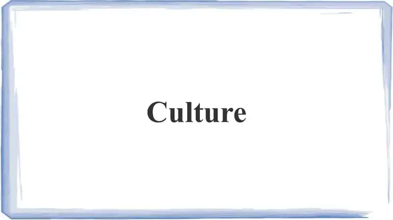 Culture
