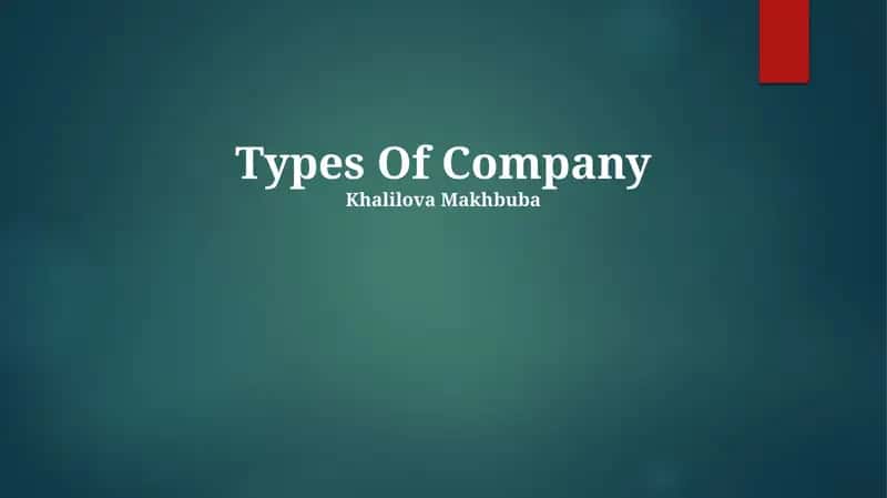 Types Of Company