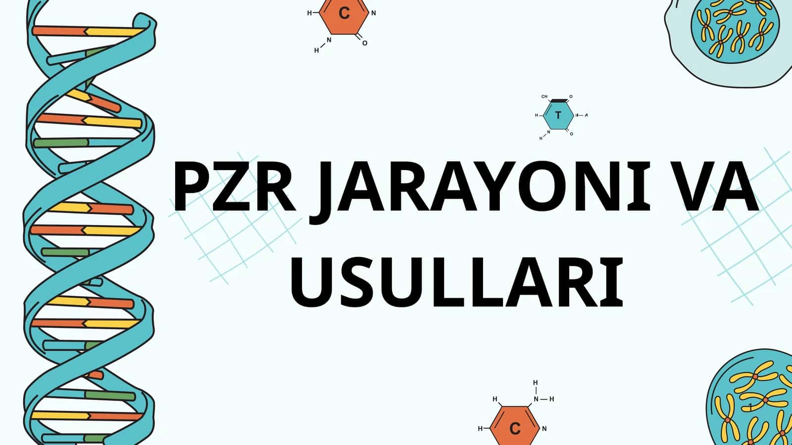 PZR jarayoni bosqichlari va usullari