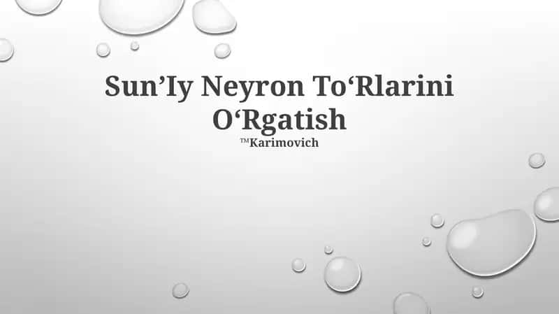 Sun’Iy Neyron To‘Rlarini O‘Rgatish
