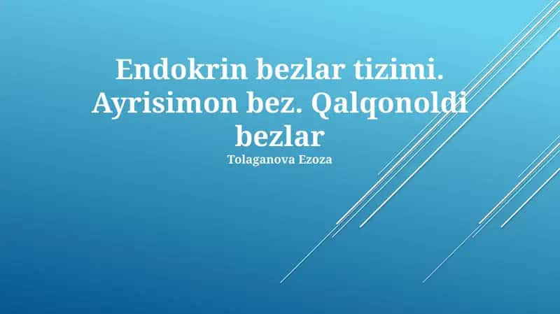 Buyrak Usti Bezining Fiziologiyasi