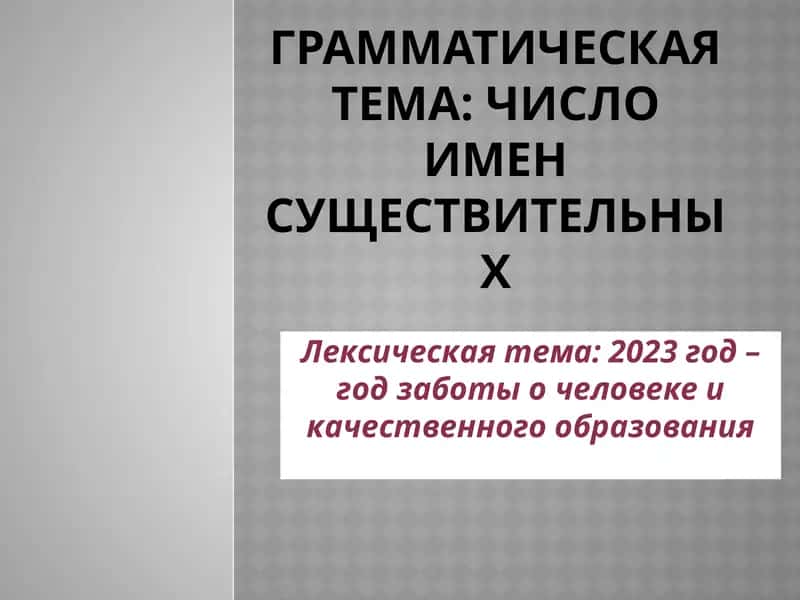Число имен существительных-2023 год – год заботы о человеке и качественного образования
