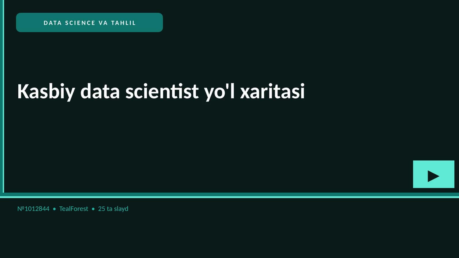 Kasbiy data scientist yo'l xaritasi