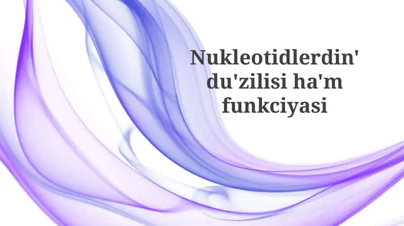 Nukleotidlerdin'du'zilisiha'mfunkciyasi