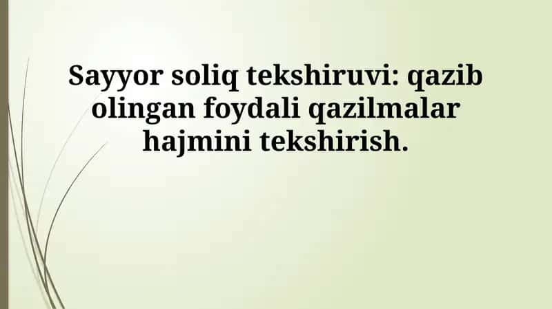 Sayyor soliq tekshiruvi