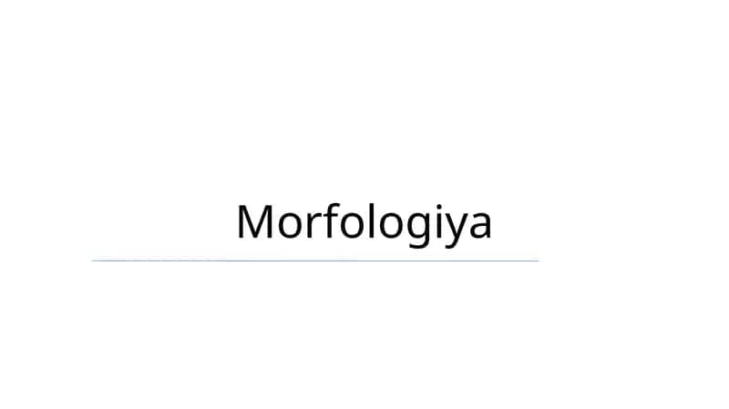 Morfologiya
