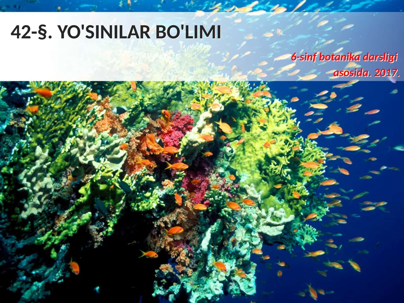 6-sinf Botanika Yo'sinilar bo'limi