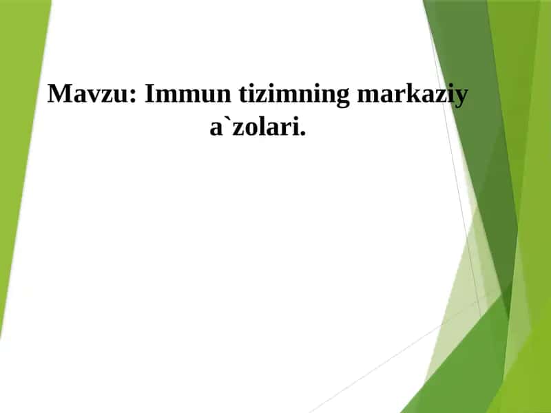 Immun tizimning markaziy a`zolari.