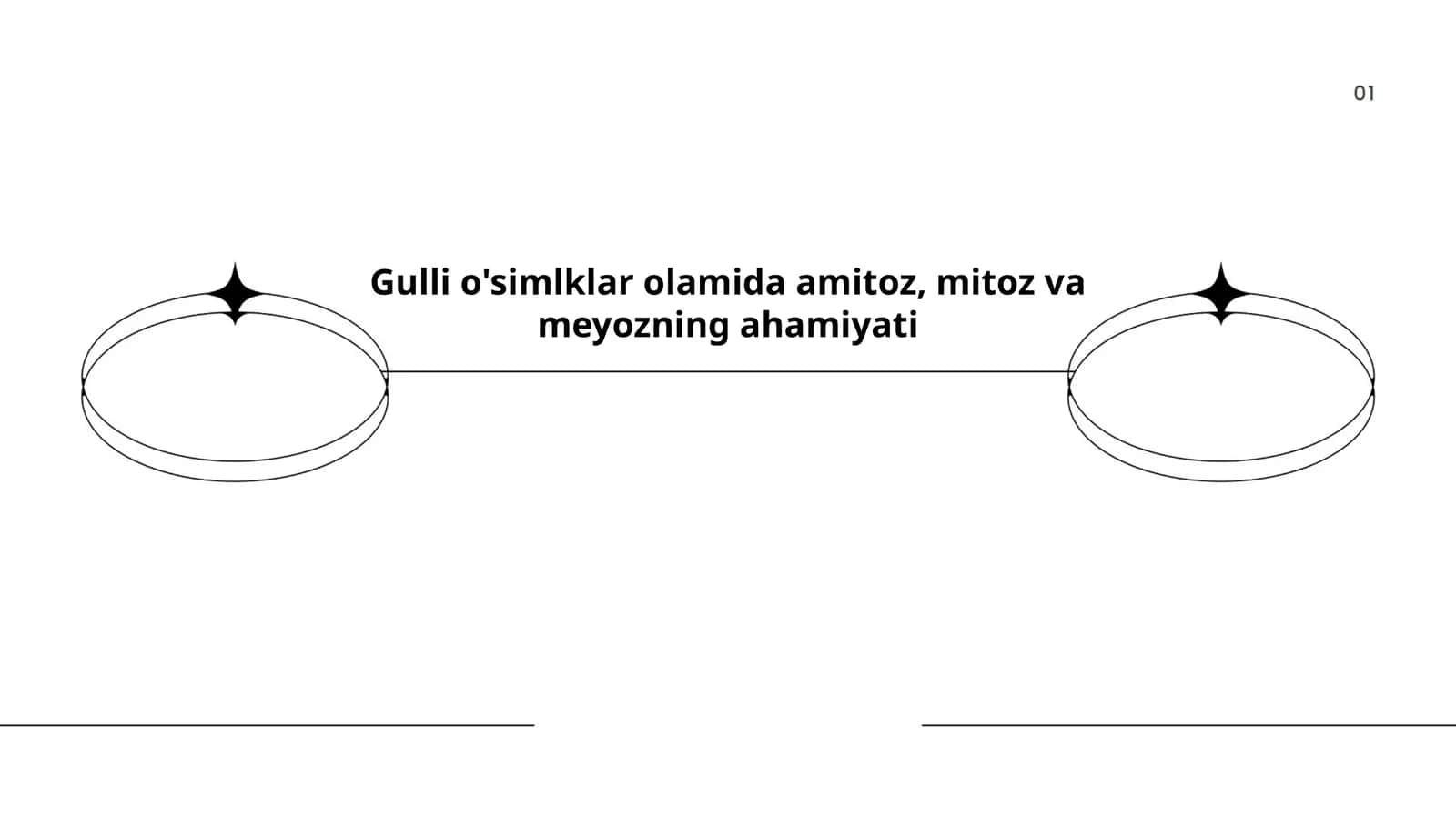 Amitoz, Mitoz va Meyoz Jarayoni
