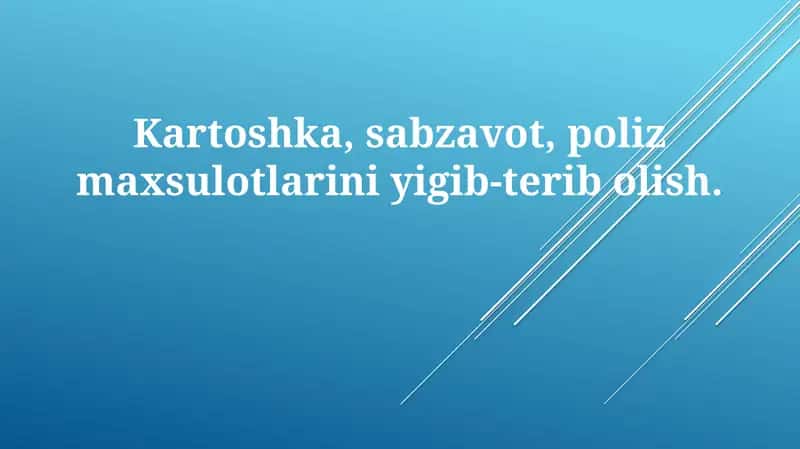 Kartoshka hosilini yig'ishtirish