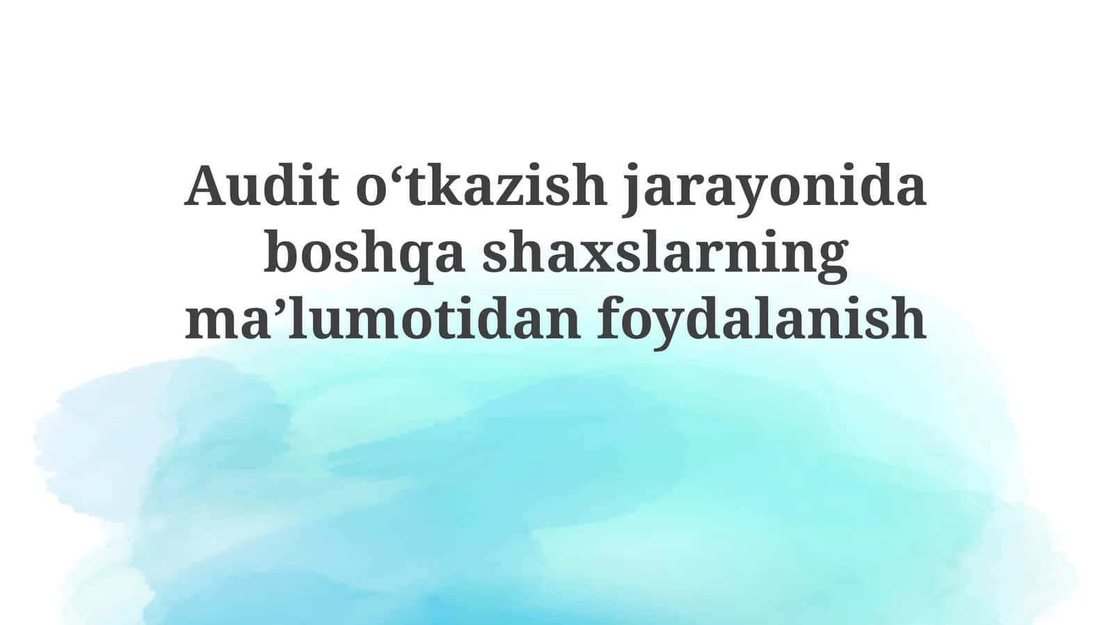 Ma'lumotlardan foydalanishda javobgarlik, hujjatlashtirish va kasbiy skeptisizm