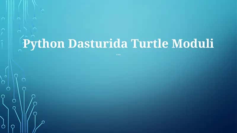 Turtle Moduli