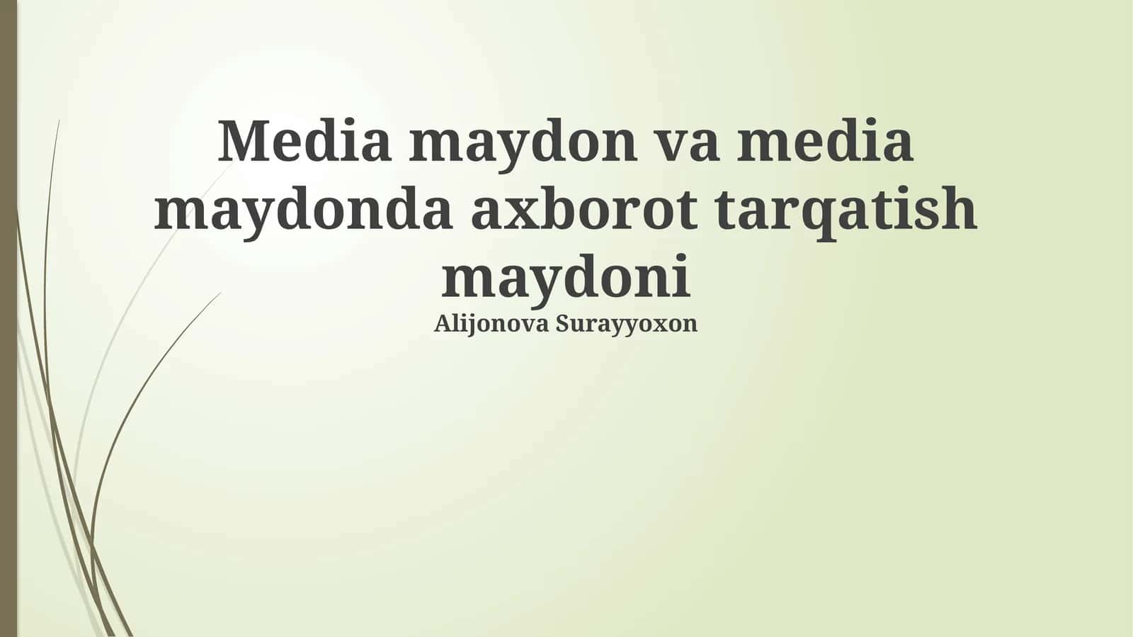 Ommaviy axborot vositalari maydoni