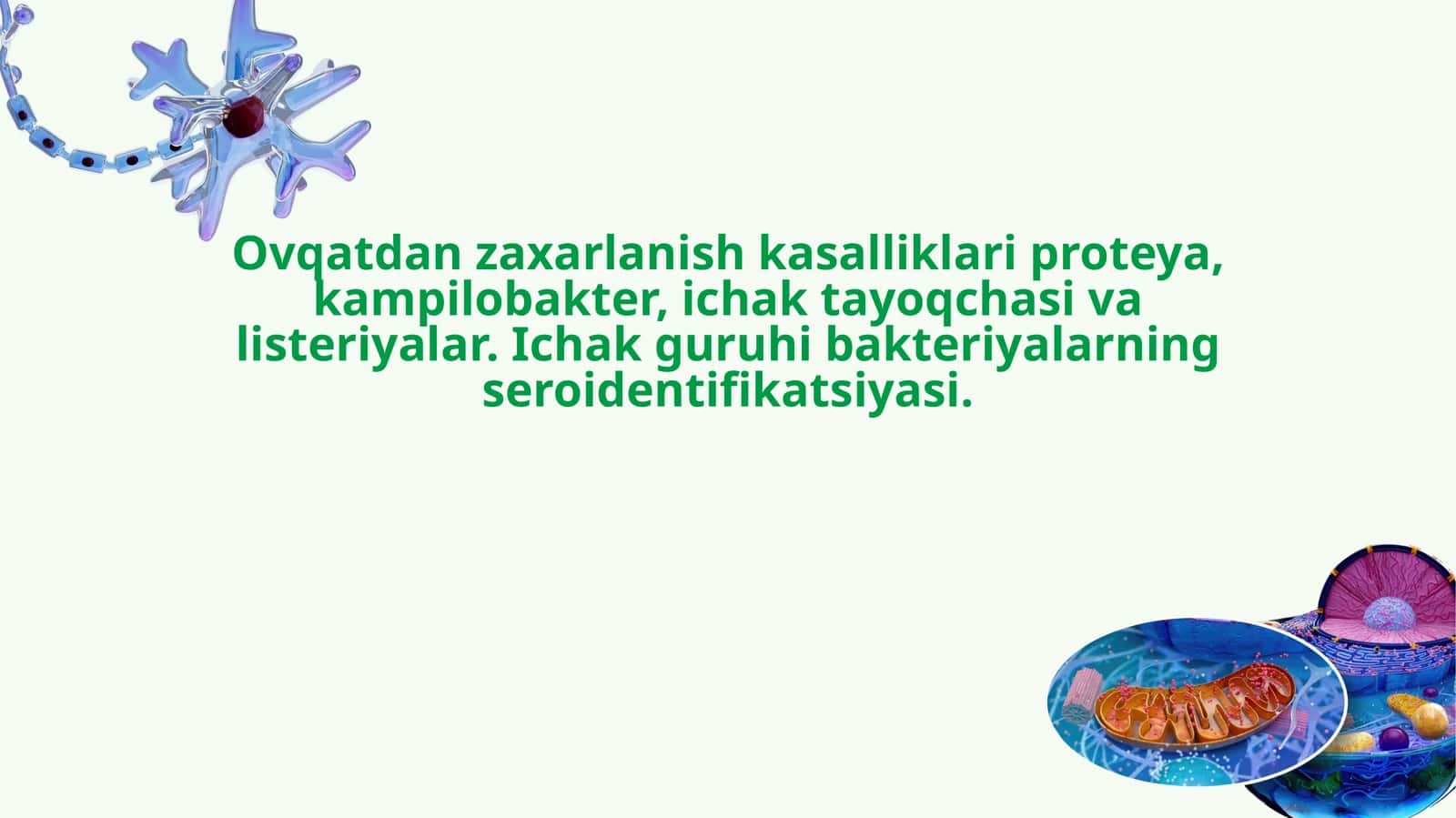 Ichak guruhi bakteriyalarining seroidentifikatsiya usullari va ahamiyati