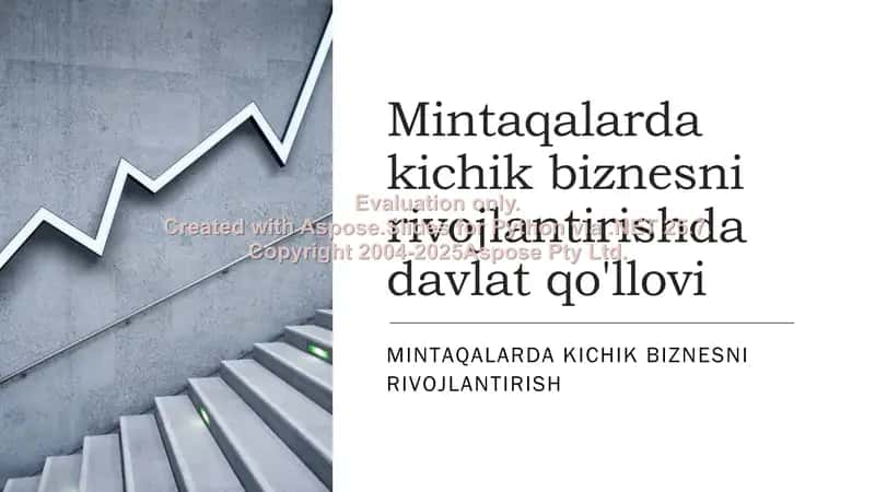Mintaqalarda kichik biznesni rivojlantirishda davlat qo'llovi