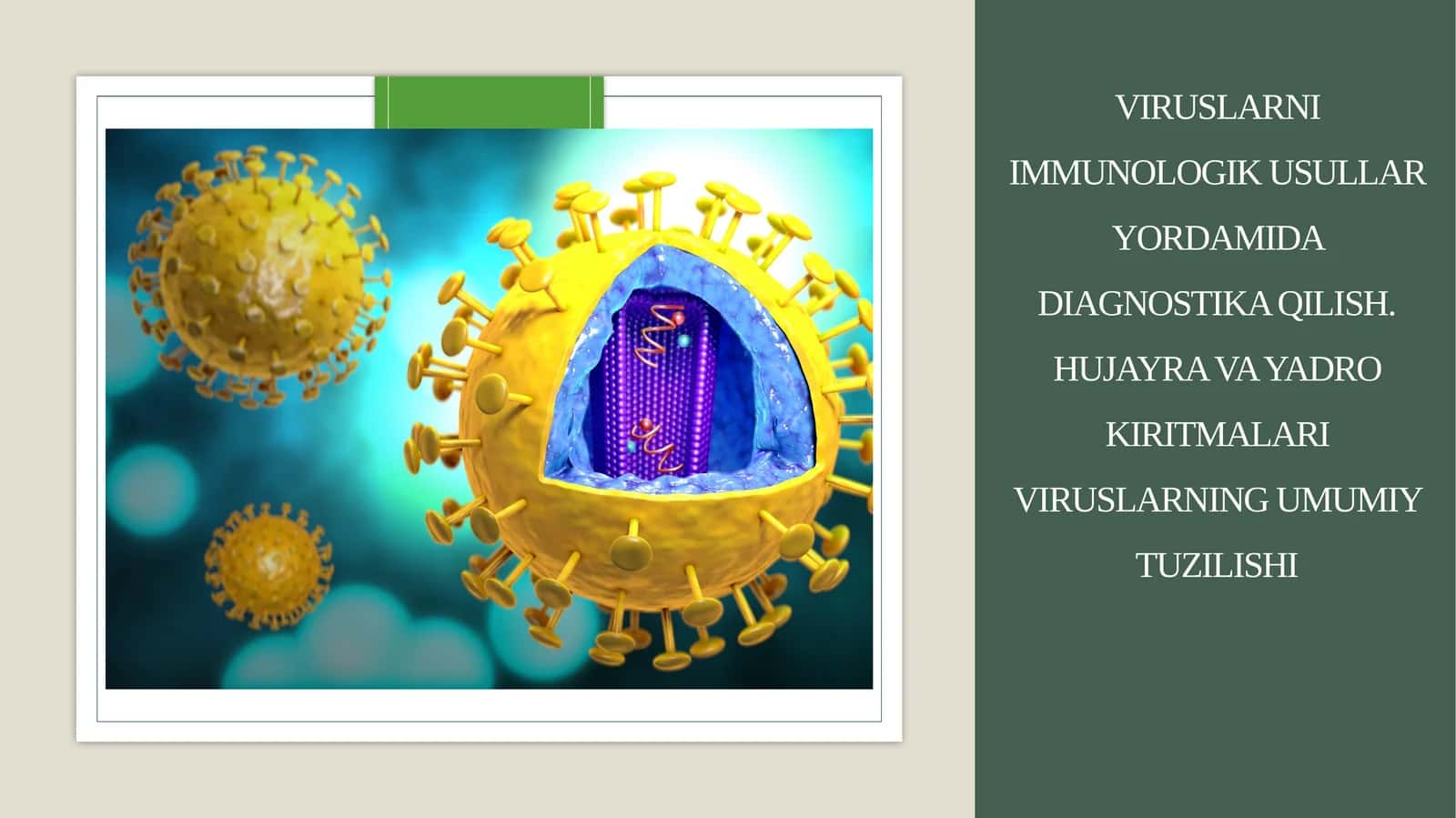 Viruslarni immunologik usullar yordamida diagnostika qilish.Hujayra va yadro kiritmalari Viruslarning umumiy tuzilishi