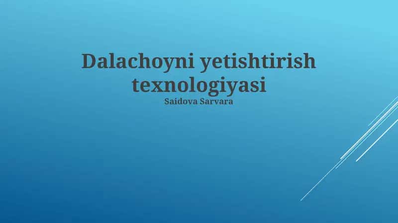 Dalachoyni yetishtirish texnologiyasi