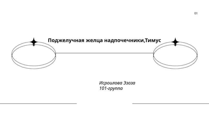 Нейроэндокринная связь гипофиза