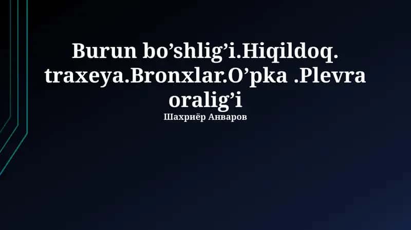 Bronxlarning funksiyalari