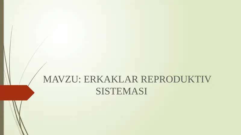 ERKAKLAR REPRODUKTIV SISTEMASI