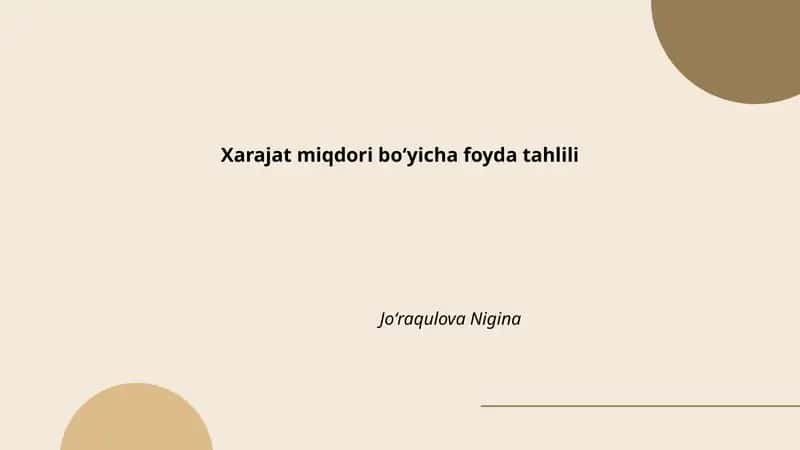 Xarajat miqdori boʻyicha foyda tahlili