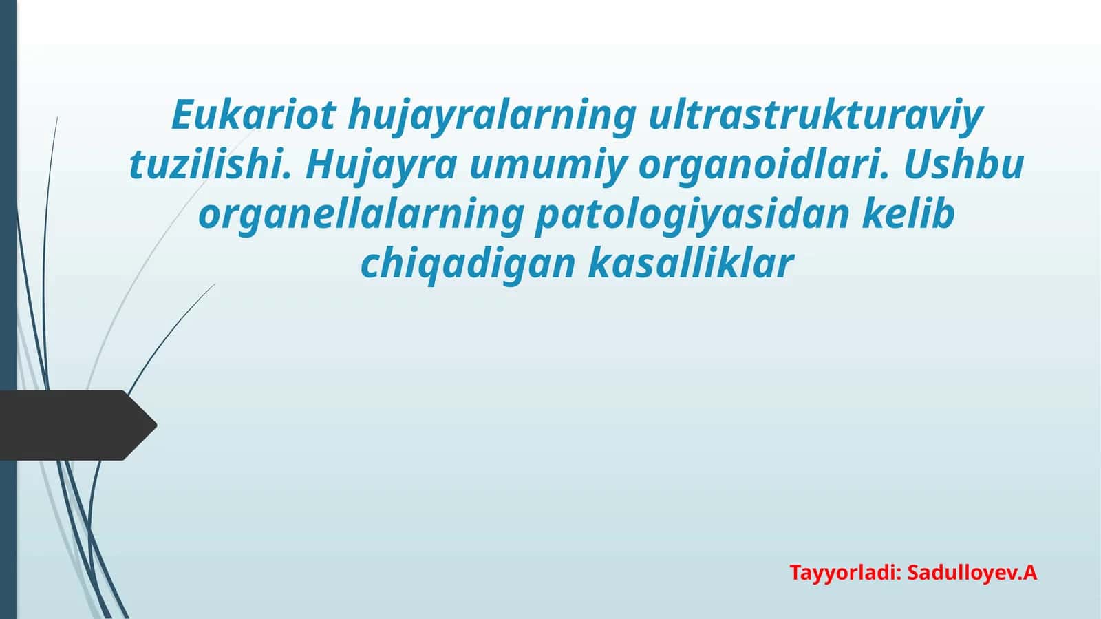 Eukariot hujayralarning ultrastrukturaviy tuzilishi.pptx