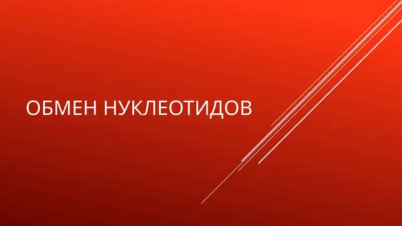 Обмен нуклеотидов