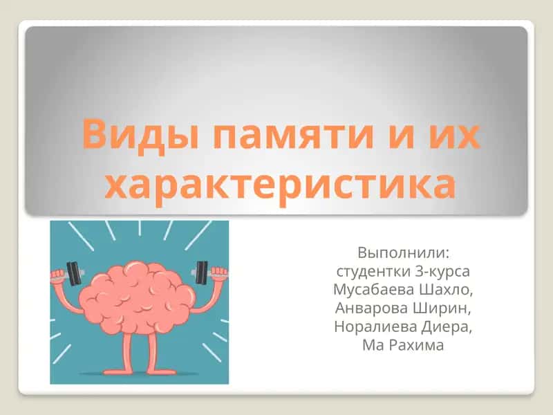 Виды памяти и их характеристика