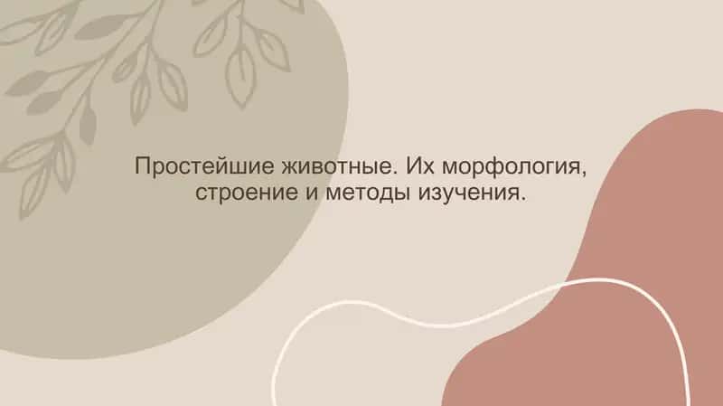 Простейшие животные. Их морфология, строение и методы изучения.