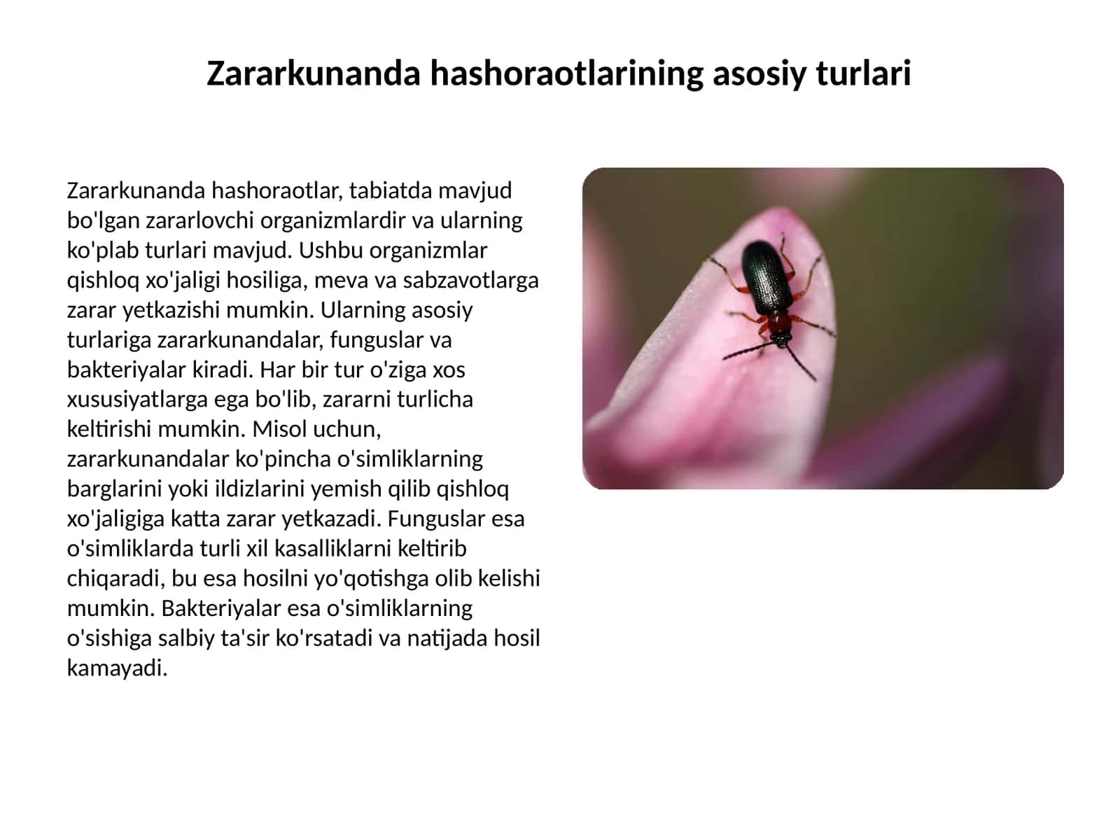 Zararkunanda hashoraotlarining asosiy turlari