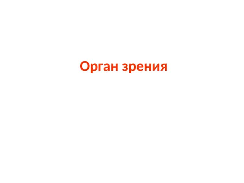 Орган зрения