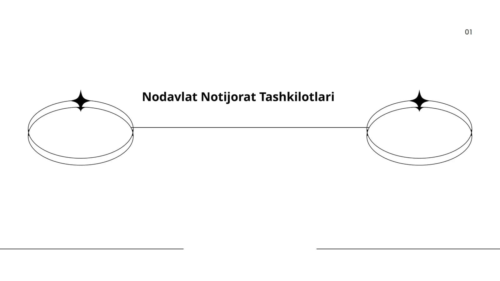 Nodavlat Notijorat Tashkilotlari