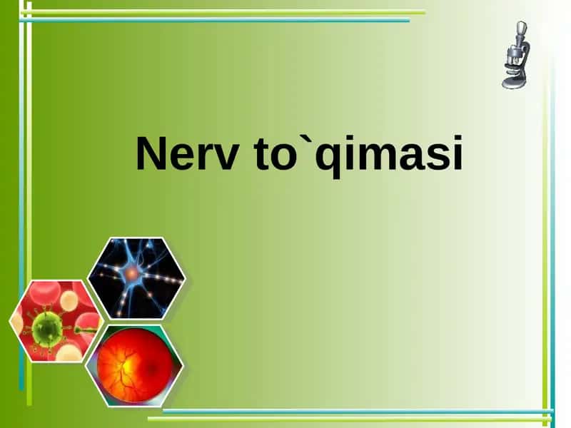 Nerv to`qimasi