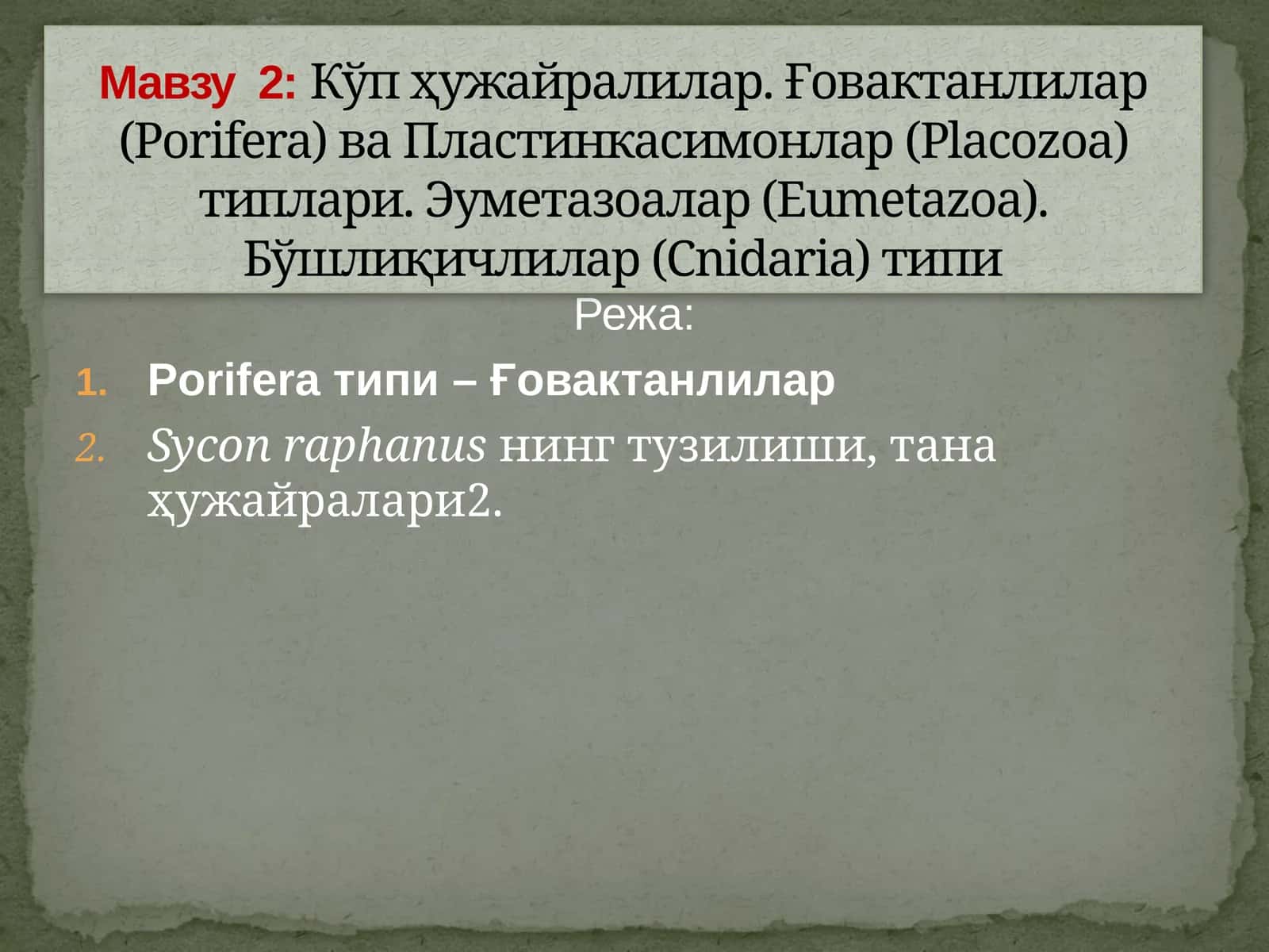 Porifera(Spongia) –Ғовактанлилар типи