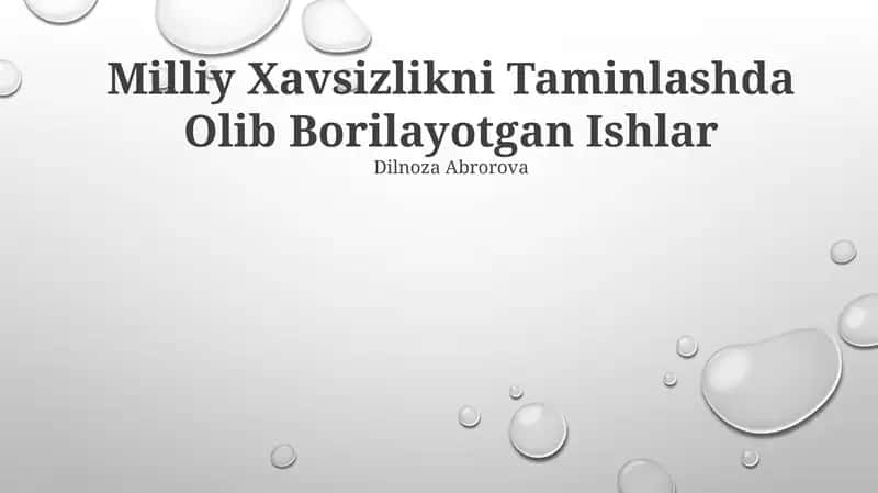 Milliy Xavsizlikni Taminlashda Olib Borilayotgan Ishlar