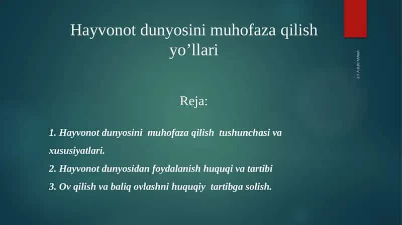 Hayvonot dunyosini muhofaza qilish yo'llari