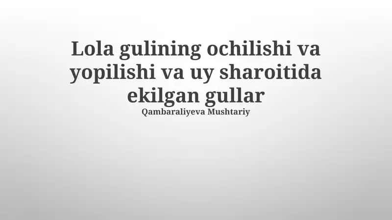 Lola Gultojisi Va Uyda Yetishtirilgan Gullarning Ochilishi