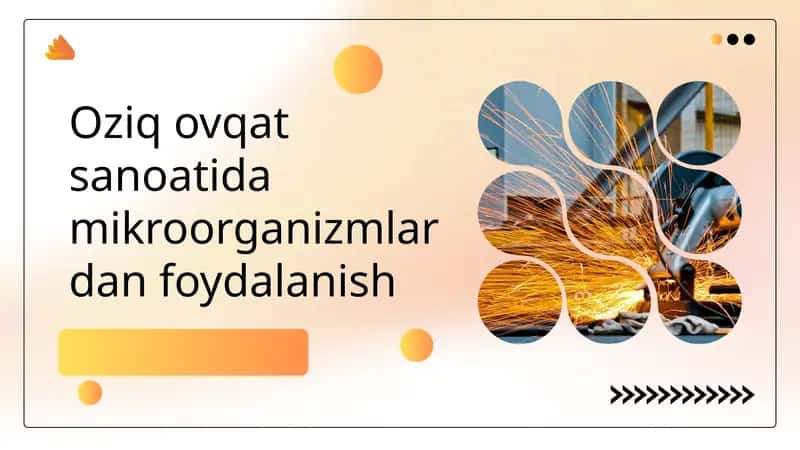 Oziq ovqat sanoatida mikroorganizmlardan foydalanish
