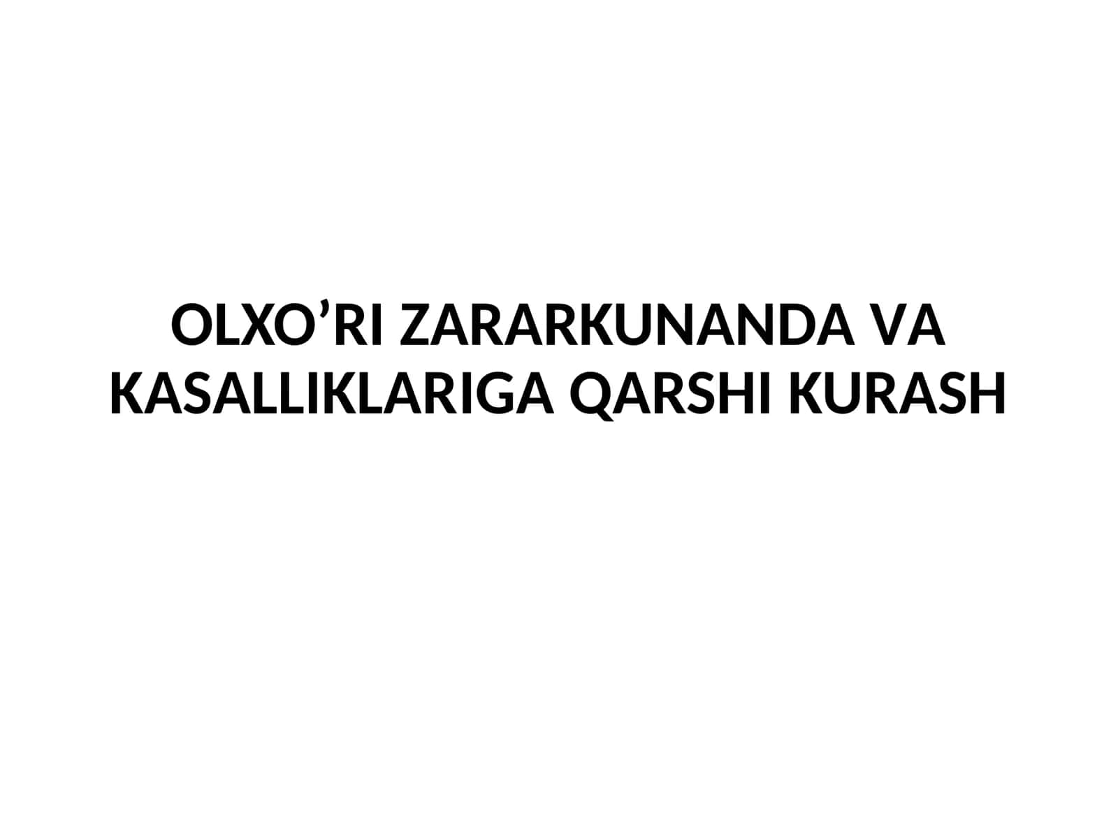 Barglarning shirabitlari