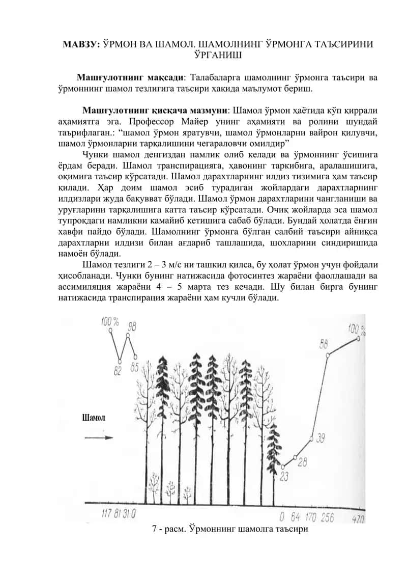 Ўрмон ва Шамол